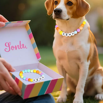 Kjæledyr Alfabet Perle Elastisk Halsbåndkjede