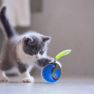 Gravitasjons-Popball for Kjæledyr