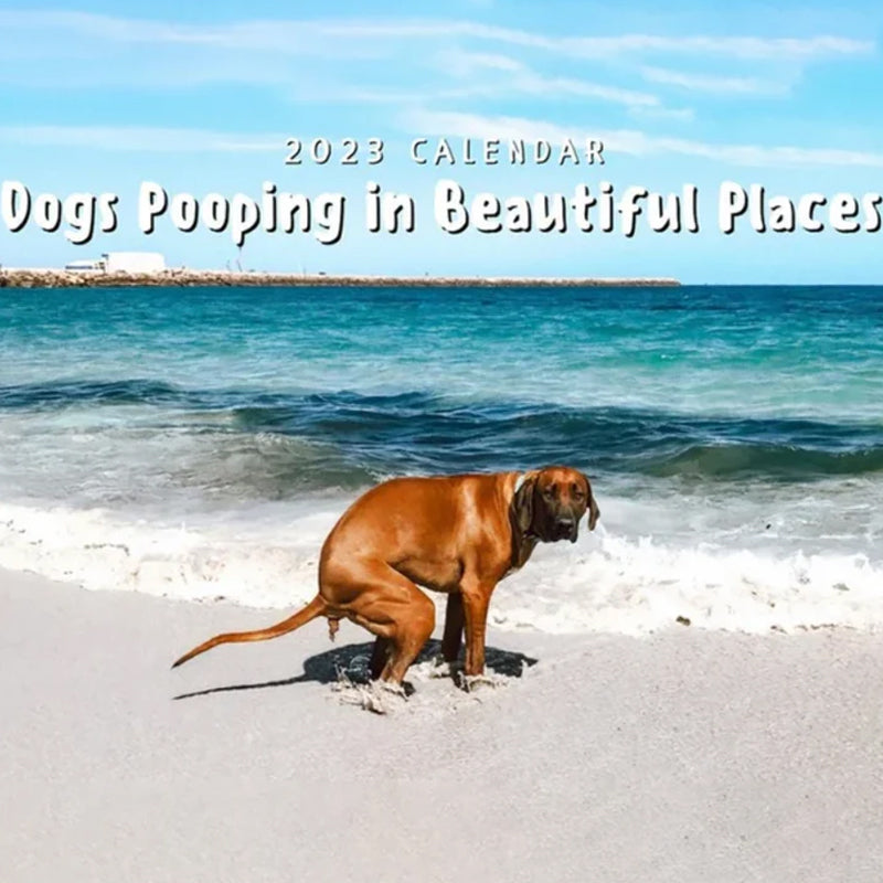 Pooping Pooches Hundekalender