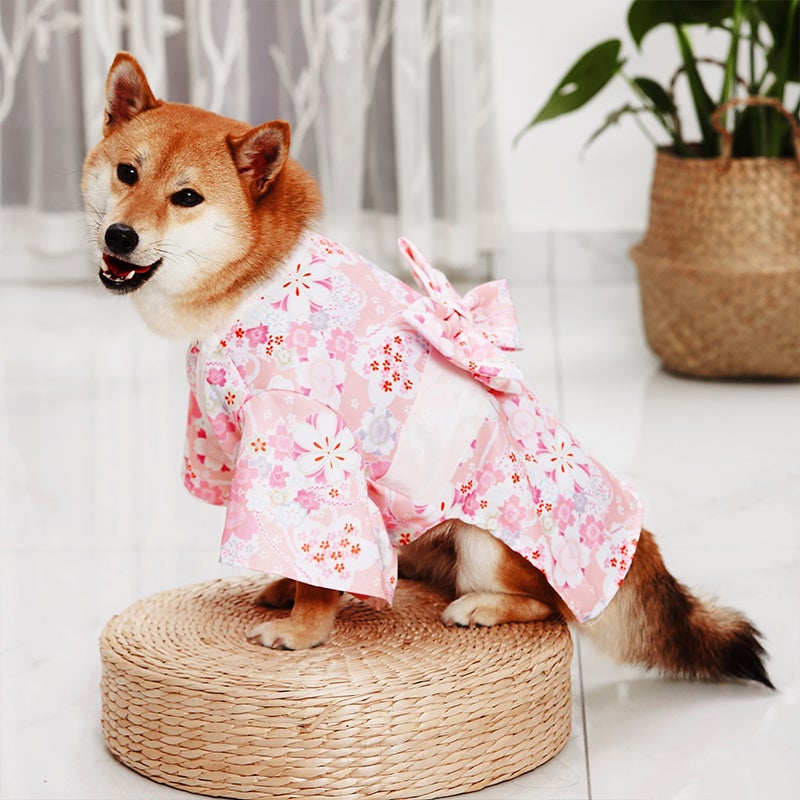 Kjæledyr Kimono