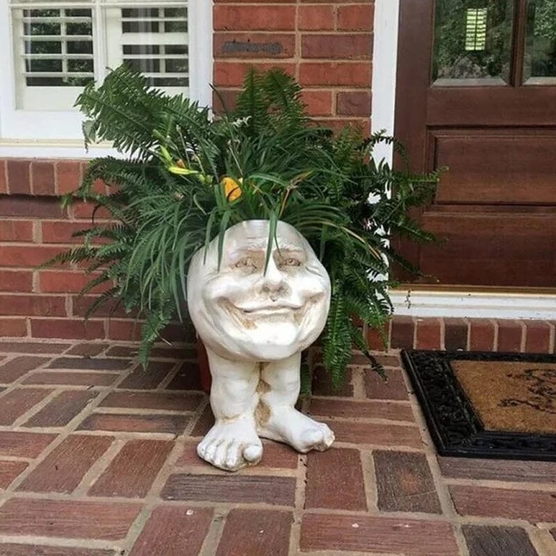Funny Expression Flowerpot