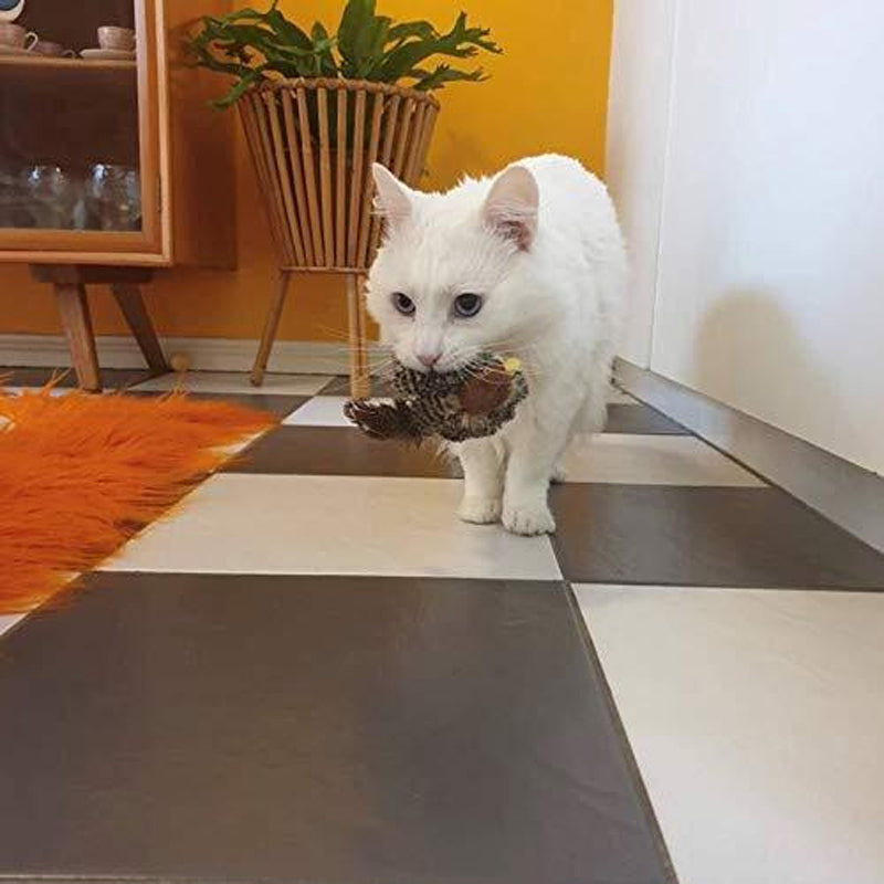 Simulert kvitrende fugl for katter