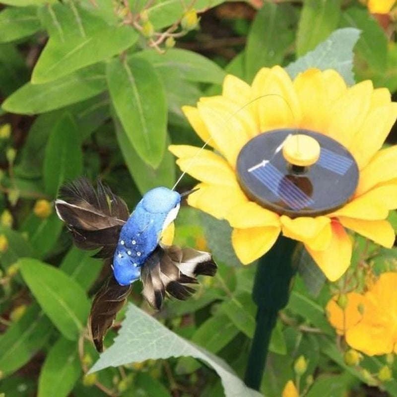 Dancing Hummingbird With Sunflower