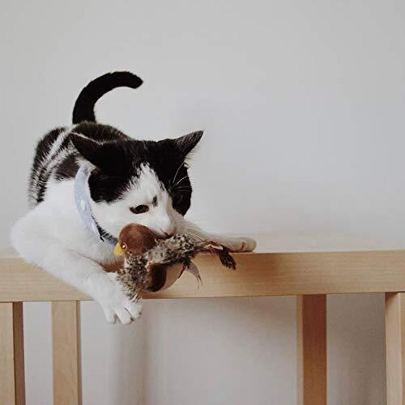 Simulert kvitrende fugl for katter