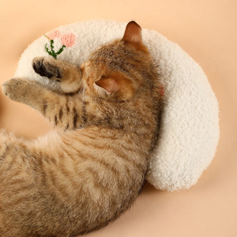 Nydelig kosepute for katter