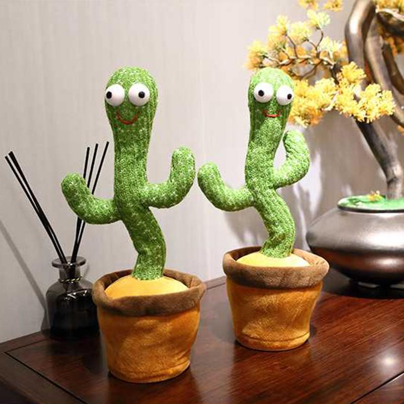Dansende Kaktus