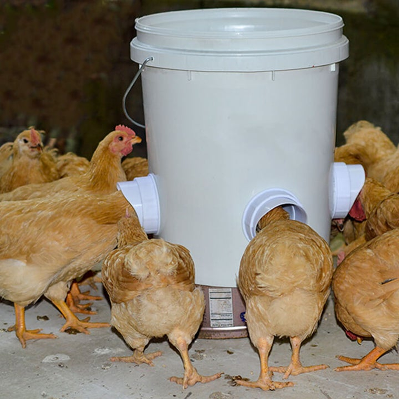 Gjør-det-selv Kyllingfôrer