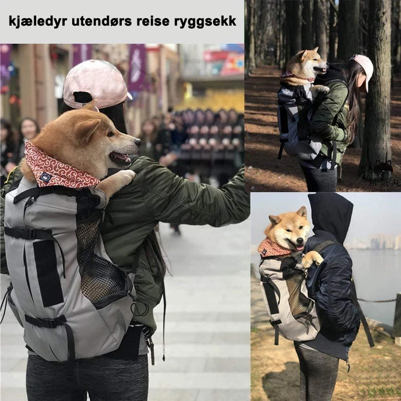 Dobbel ryggsekk for kjæledyrspassasjer