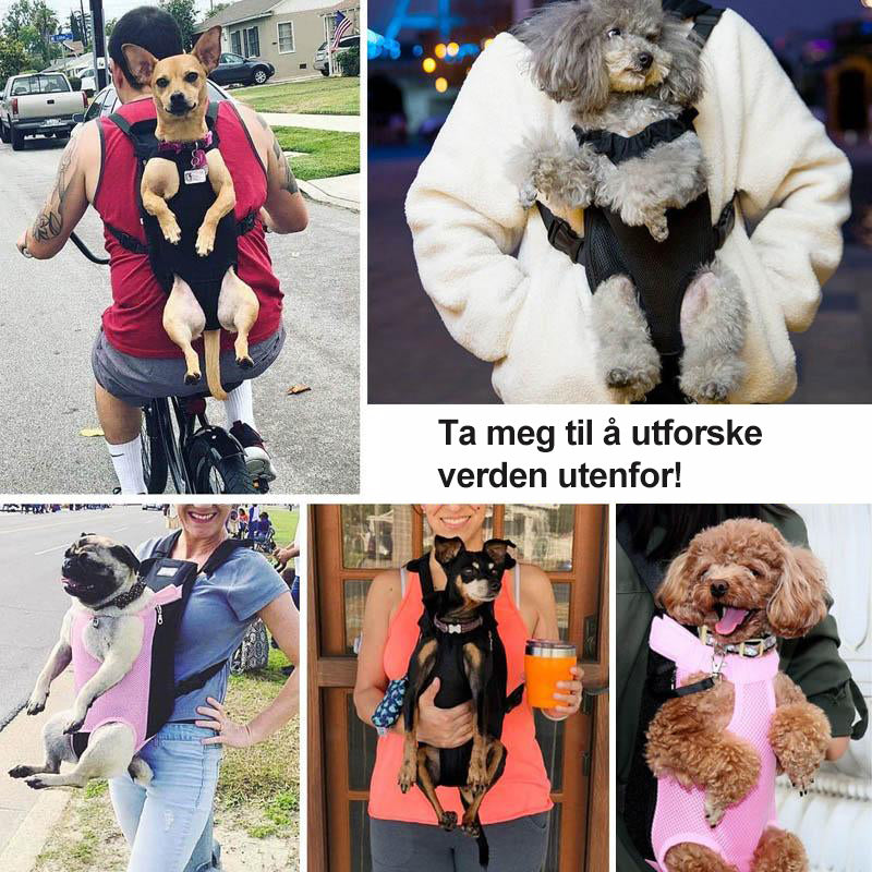 Ryggsekk for Kjæledyr