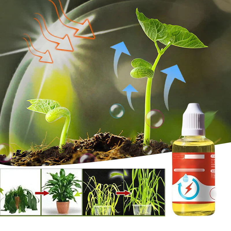 Plante vekst Enhancer Supplement