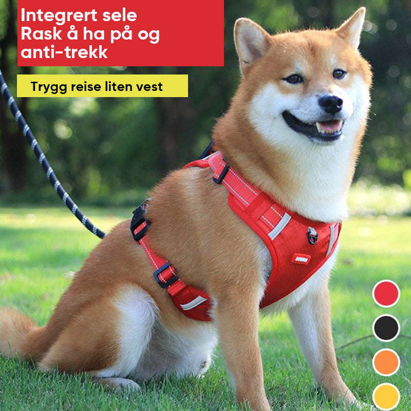 Reflekterende hundebryststropp