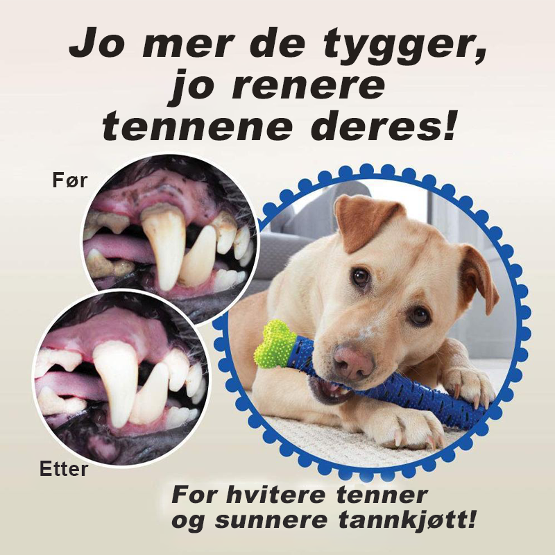 Hunde Tygge Tannbørste | Tenn rengjørings Leketøy