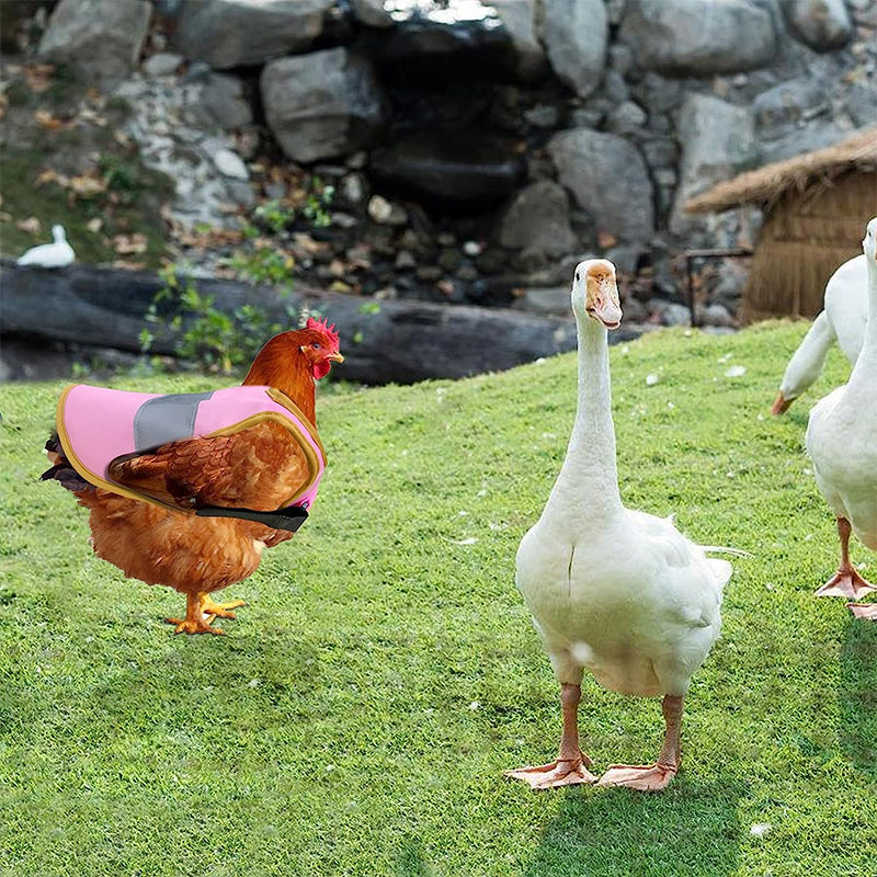Justerbar kyllingsele Refleksvest for høne kjæledyr