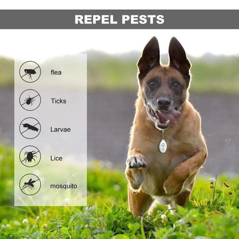 Ultrasonic flea outlet collar for dogs