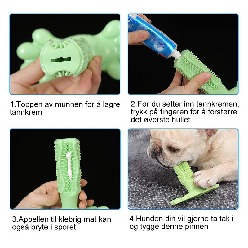 Hundens tannbørste