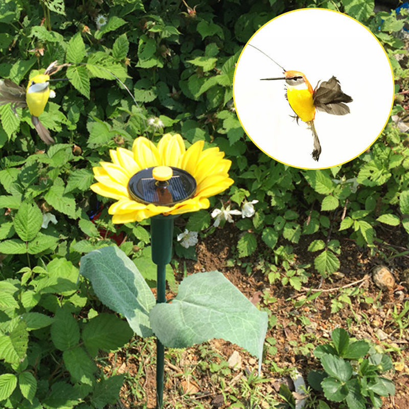 Dancing Hummingbird With Sunflower