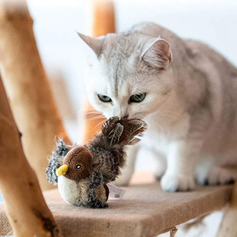 Simulert kvitrende fugl for katter