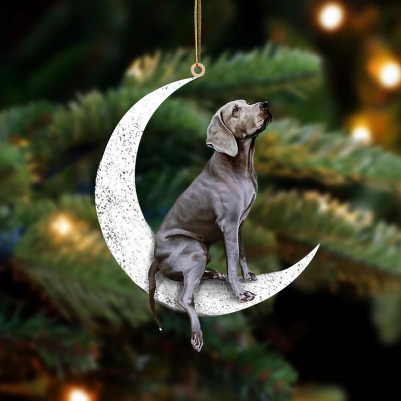 Sitt på månen - tosidig ornament