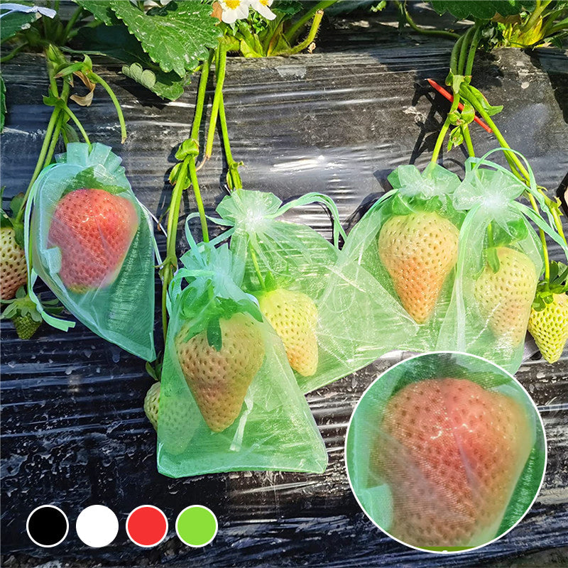 Beskyttelsespose for frukt (100 stk.)