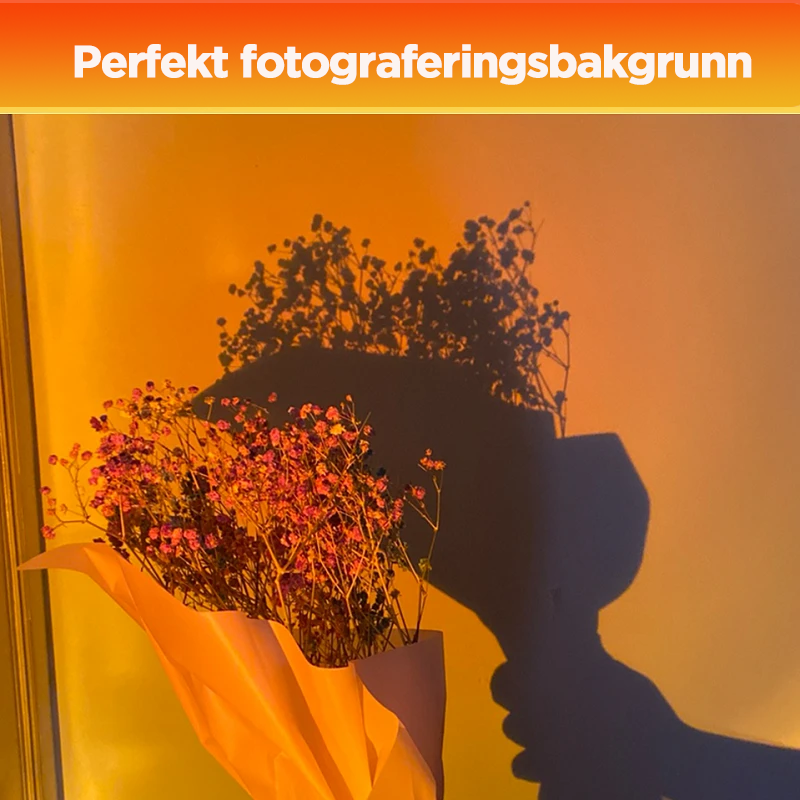 Projeksjonsgulvlampe